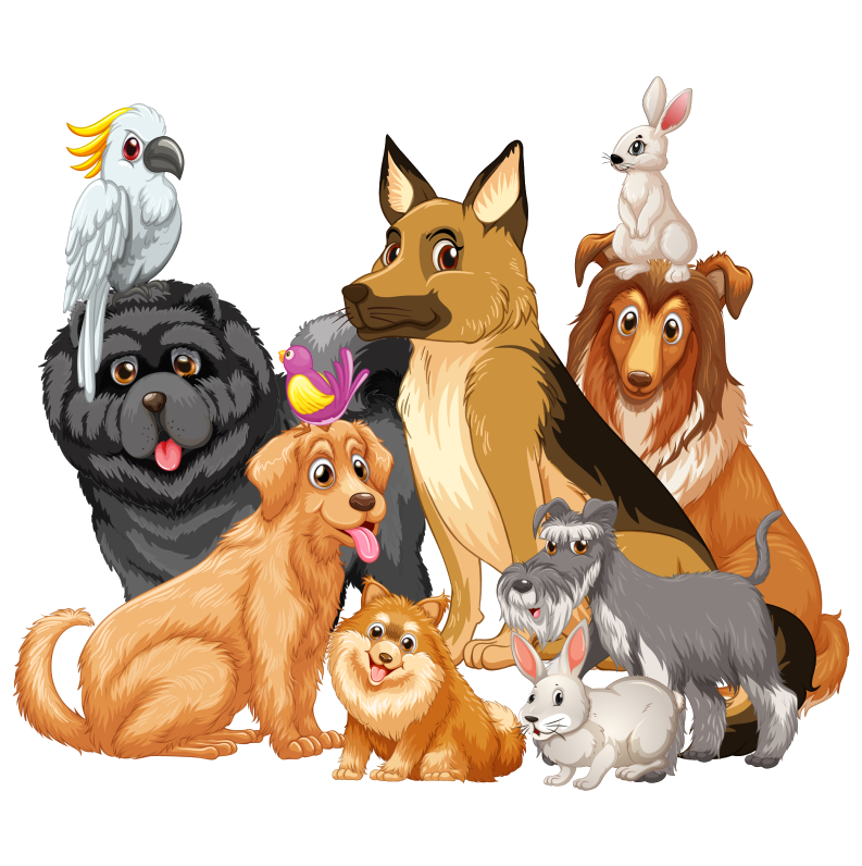 Vet Login Illustration